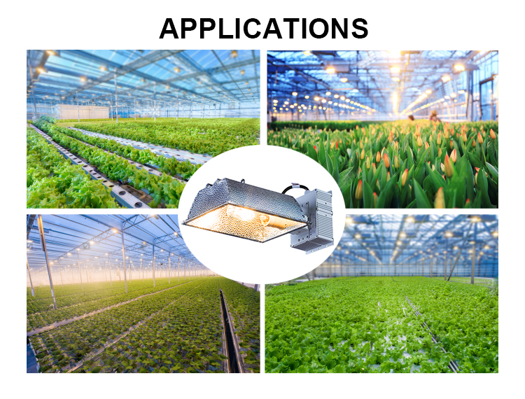 Greenhouse 315W Cmh Fixture 315 Watt Cmh Grow Light