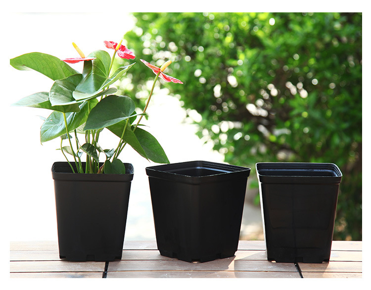 P9 Plastic Planting Bucket