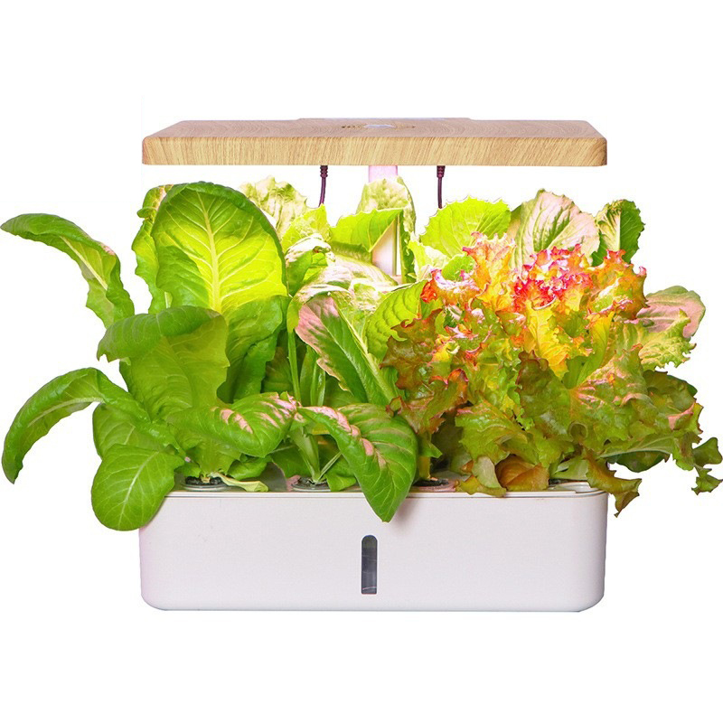 Hydroponic Vegetable and Flower Planter
