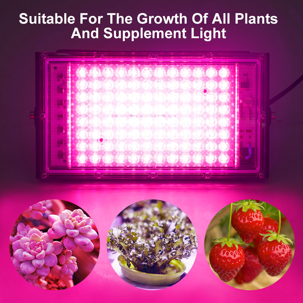 Advanced Quantum Board Full Spectrum LED Plant Lights for Seedling and Commercial Cultivation