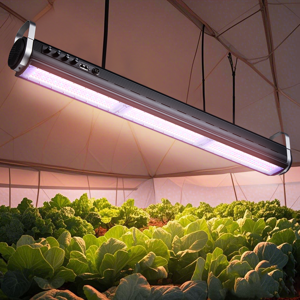 Complete Hydroponic Grow Kit with LED Lighting System for Hobby Growers and Indoor Cultivation Enthusiasts