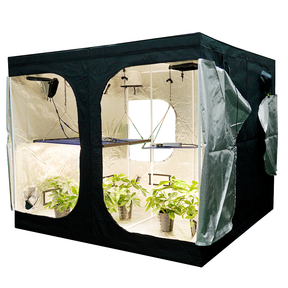 MEIJIU Hydroponics Indoor Grow 240x240X200CM 600D Grow Tent（with viewing window）