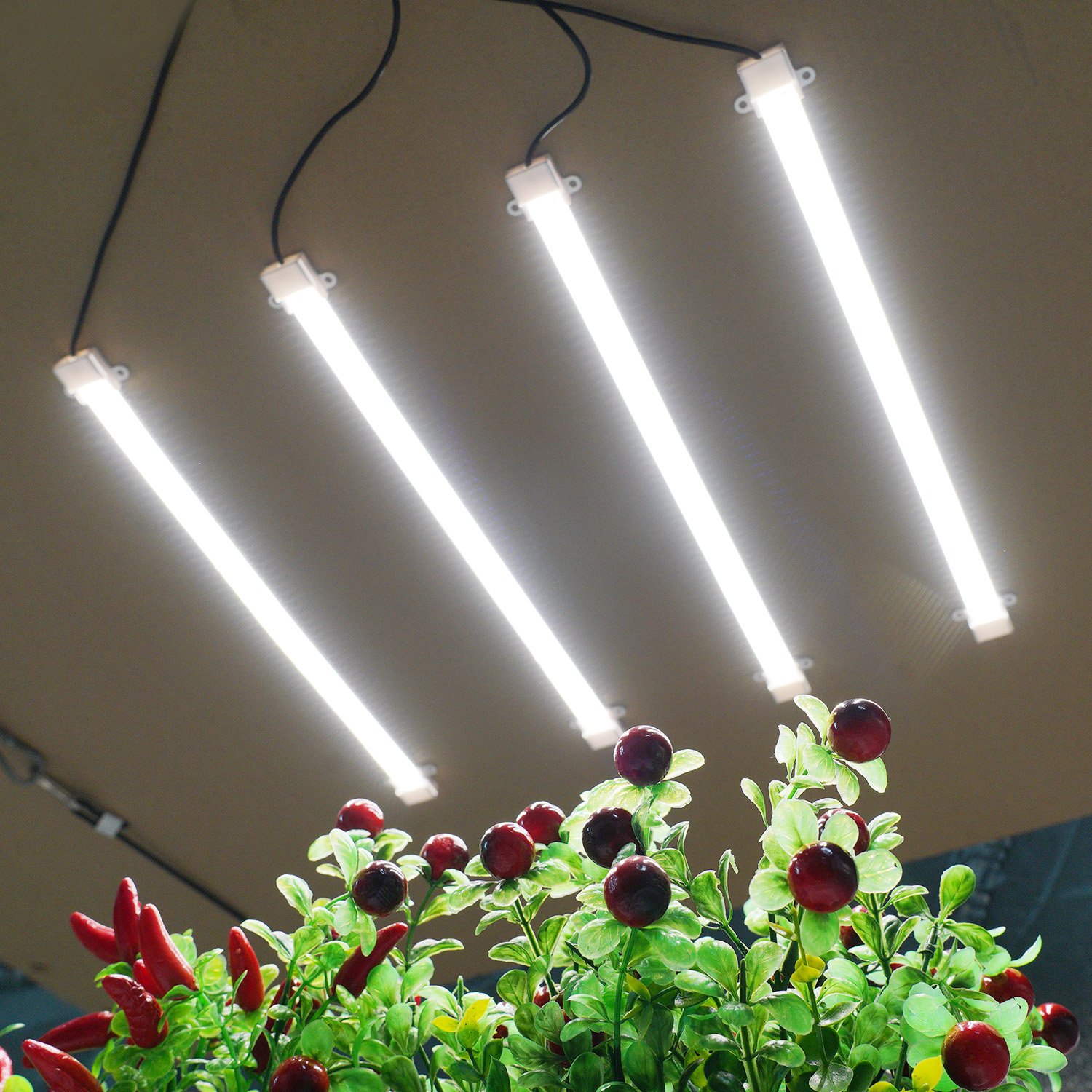30 Watt 1 x 4 Plant Light