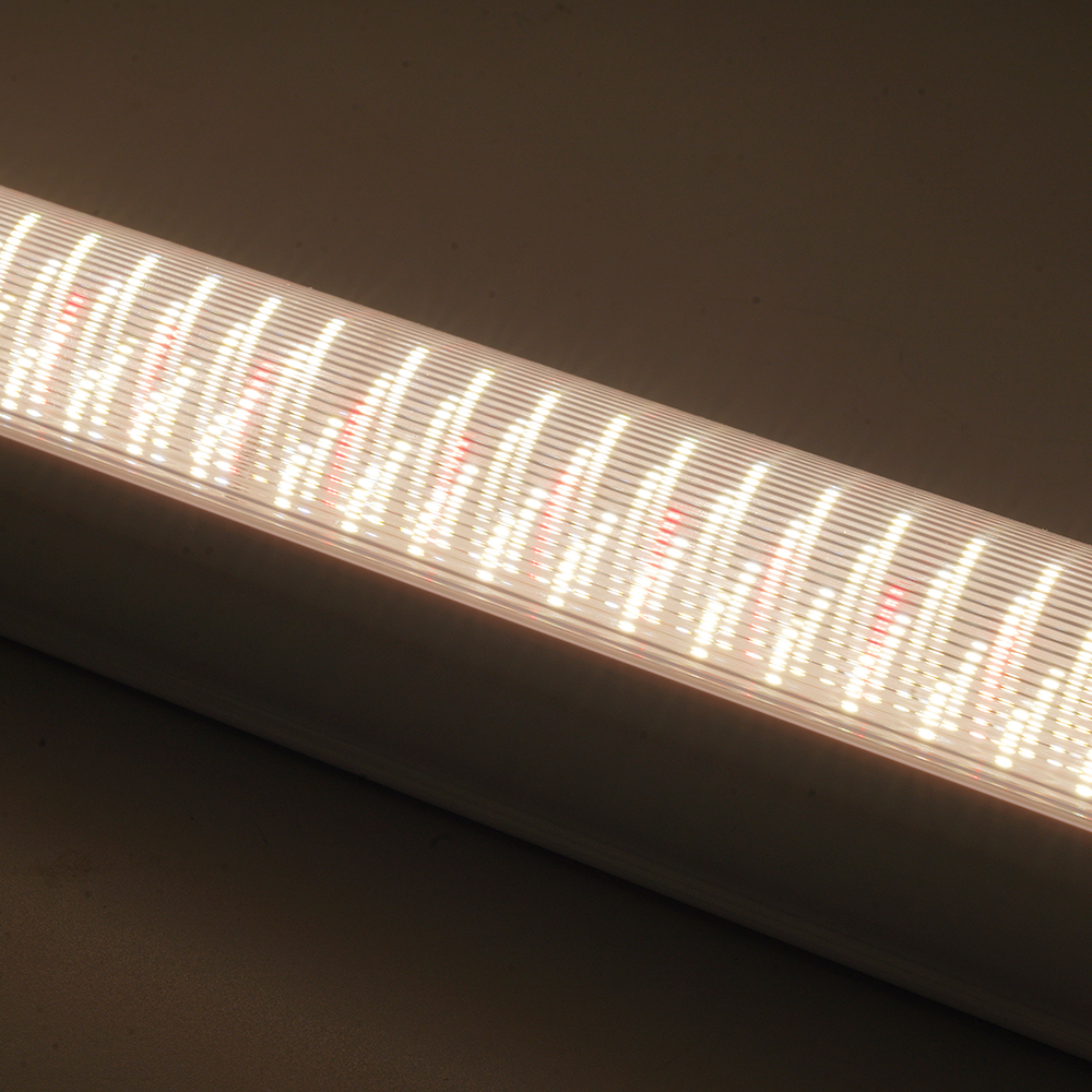 Industrial Grade Commercial Under Canopy LED Grow Lights 50w-200W for Large Scale Agricultural Production