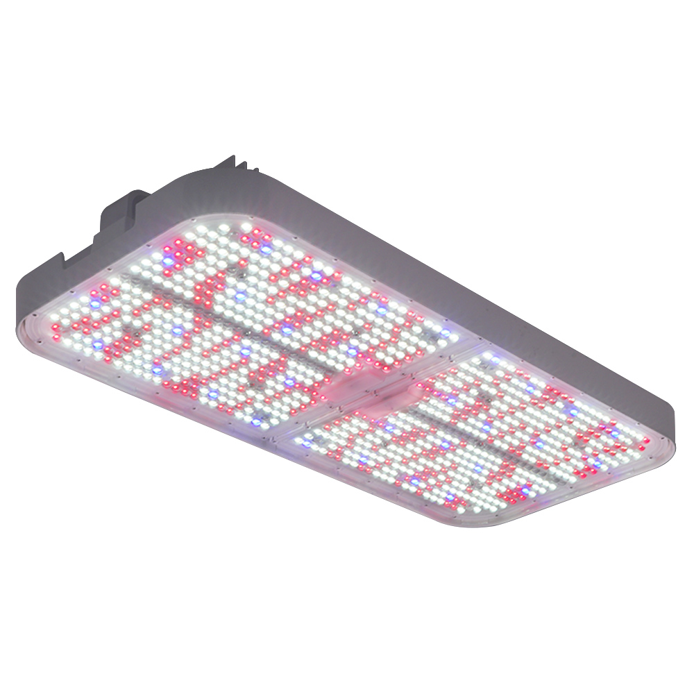 Top-Selling 800W LED Toplighting Grow Lights High Efficiency for Roses Vegetables Hydroponic Greenhouse Farms