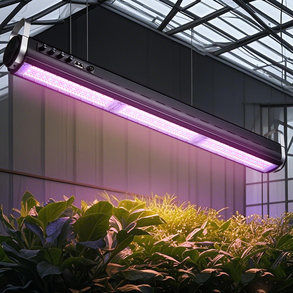 Complete Hydroponic Grow Kit with LED Lighting System for Hobby Growers and Indoor Cultivation Enthusiasts