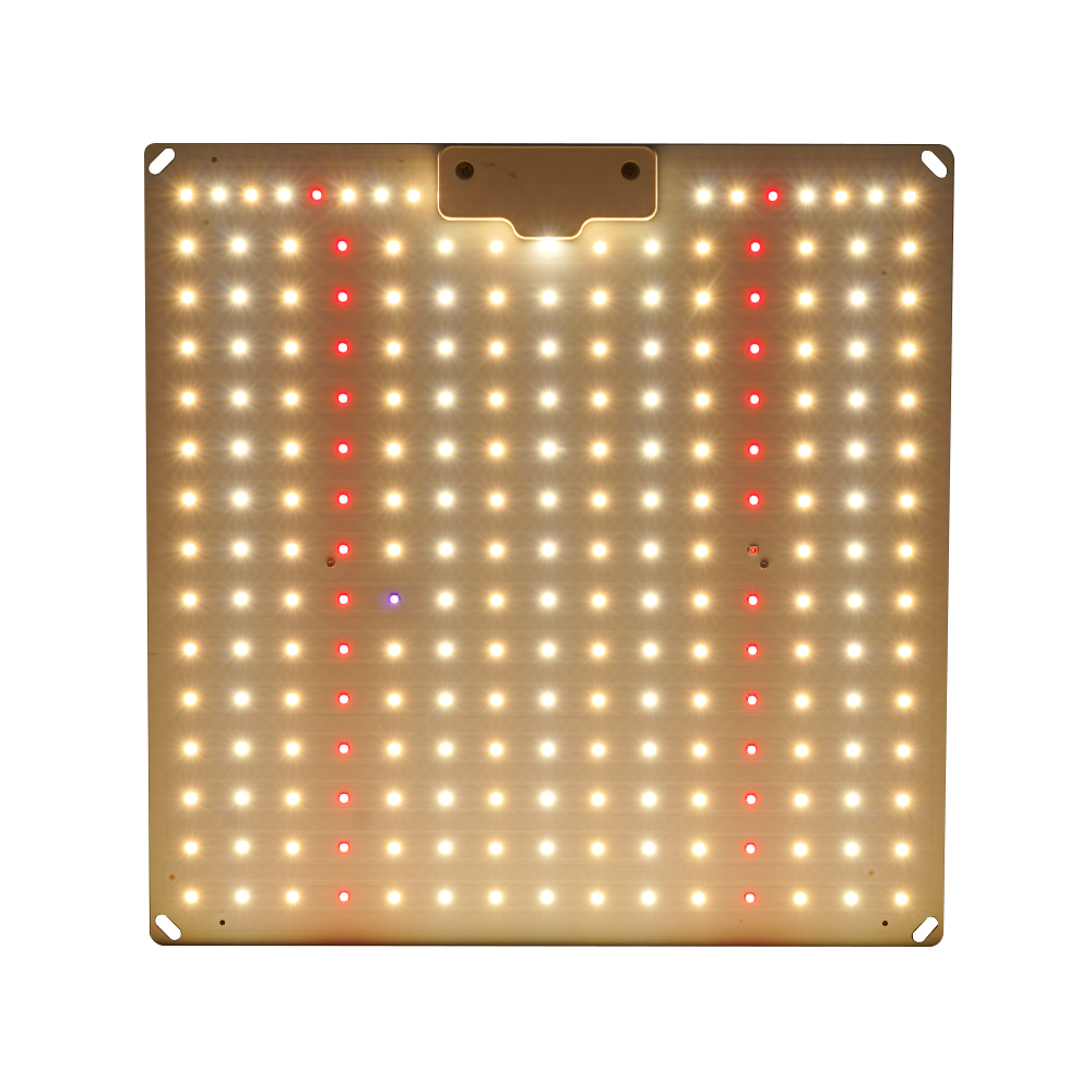 Quantum Board 100W-300W Full Spectrum LED Grow Light Panel for Indoor Hydroponic Plants Vegetables Fruits