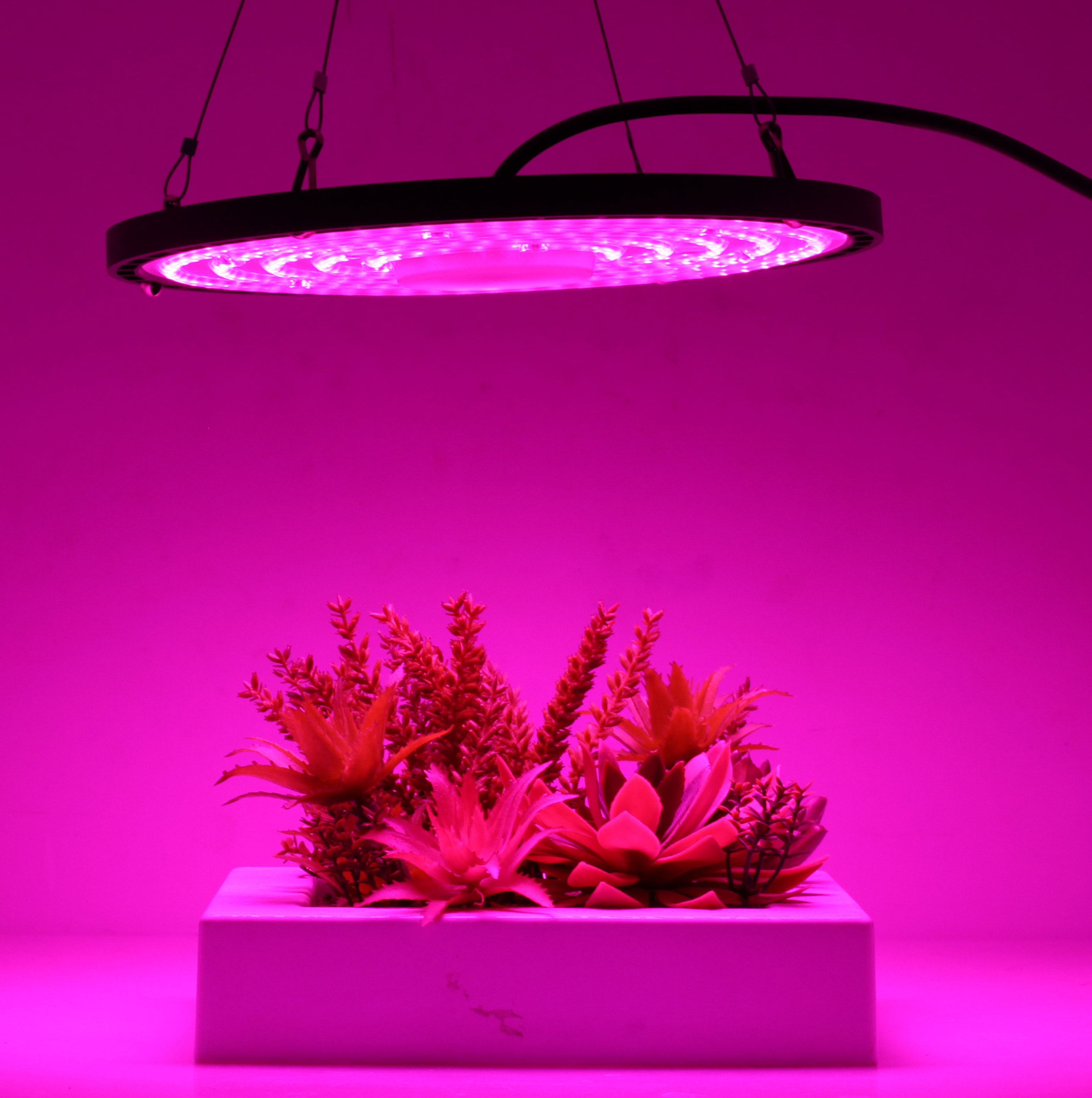 100W UFO LED Grow Light – Economical Model for Indoor Plant Growth, Full Spectrum High-Efficiency Grow Lamp for Hydroponics, Greenhouses, and Indoor Gardens"