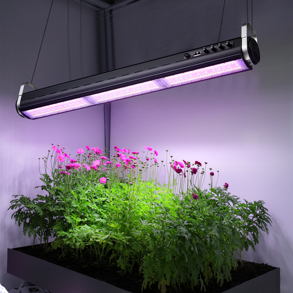 Complete Hydroponic Grow Kit with LED Lighting System for Hobby Growers and Indoor Cultivation Enthusiasts