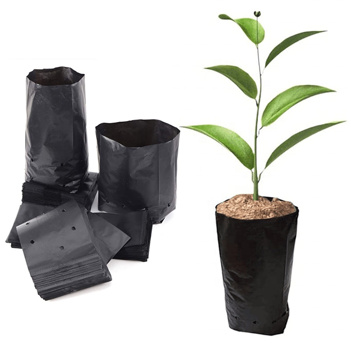 12CM*15CM Seeding Bag