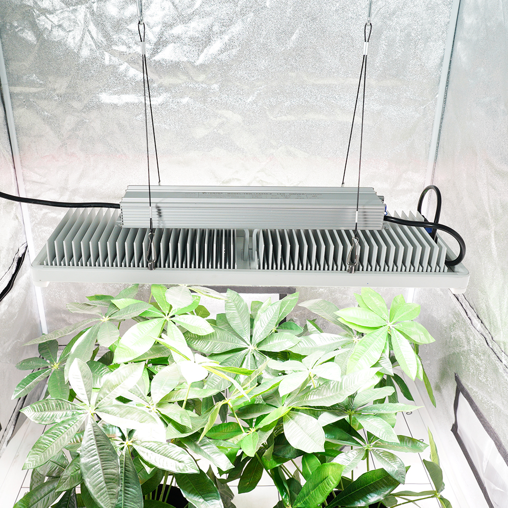 3.3umol/J Waterproof Full Spectrum LED Grow Light Bars with 660nm 730nm IR for Tomato Crop Bloom Phase Indoor Vertical Farming