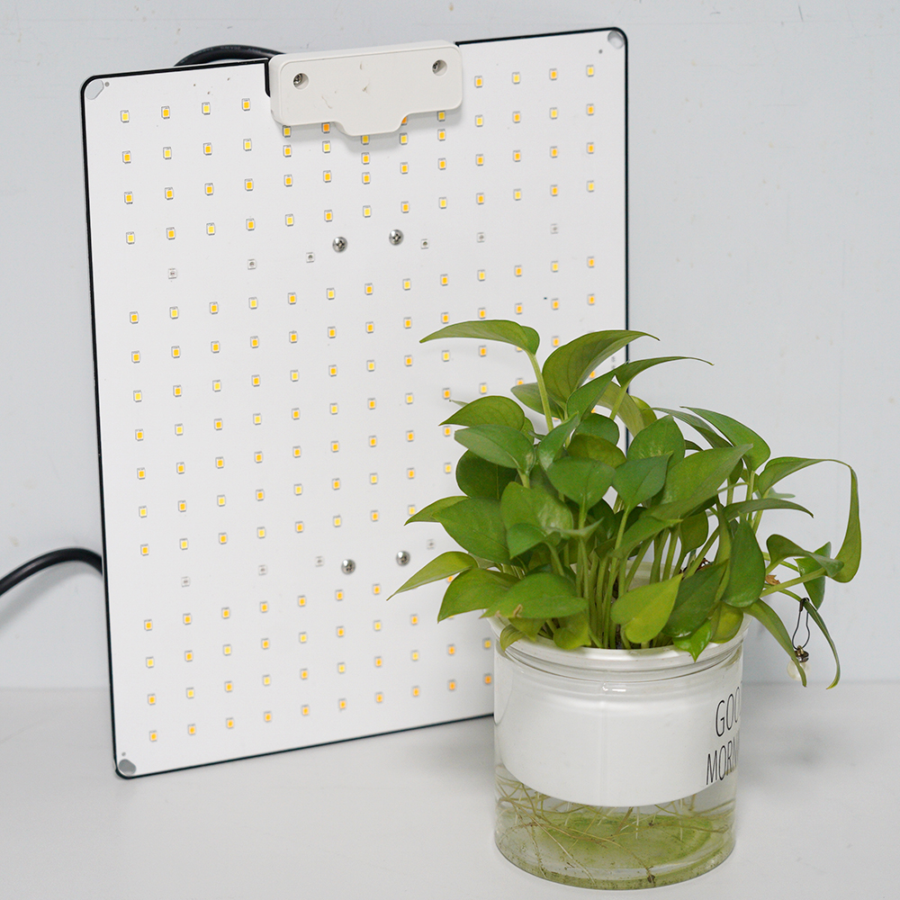 Quantum Board 100W-300W Full Spectrum LED Grow Light Panel for Indoor Hydroponic Plants Vegetables Fruits