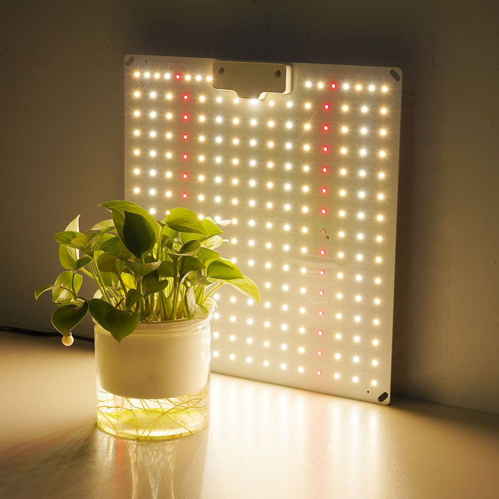 Quantum Board 100W-300W Full Spectrum LED Grow Light Panel for Indoor Hydroponic Plants Vegetables Fruits