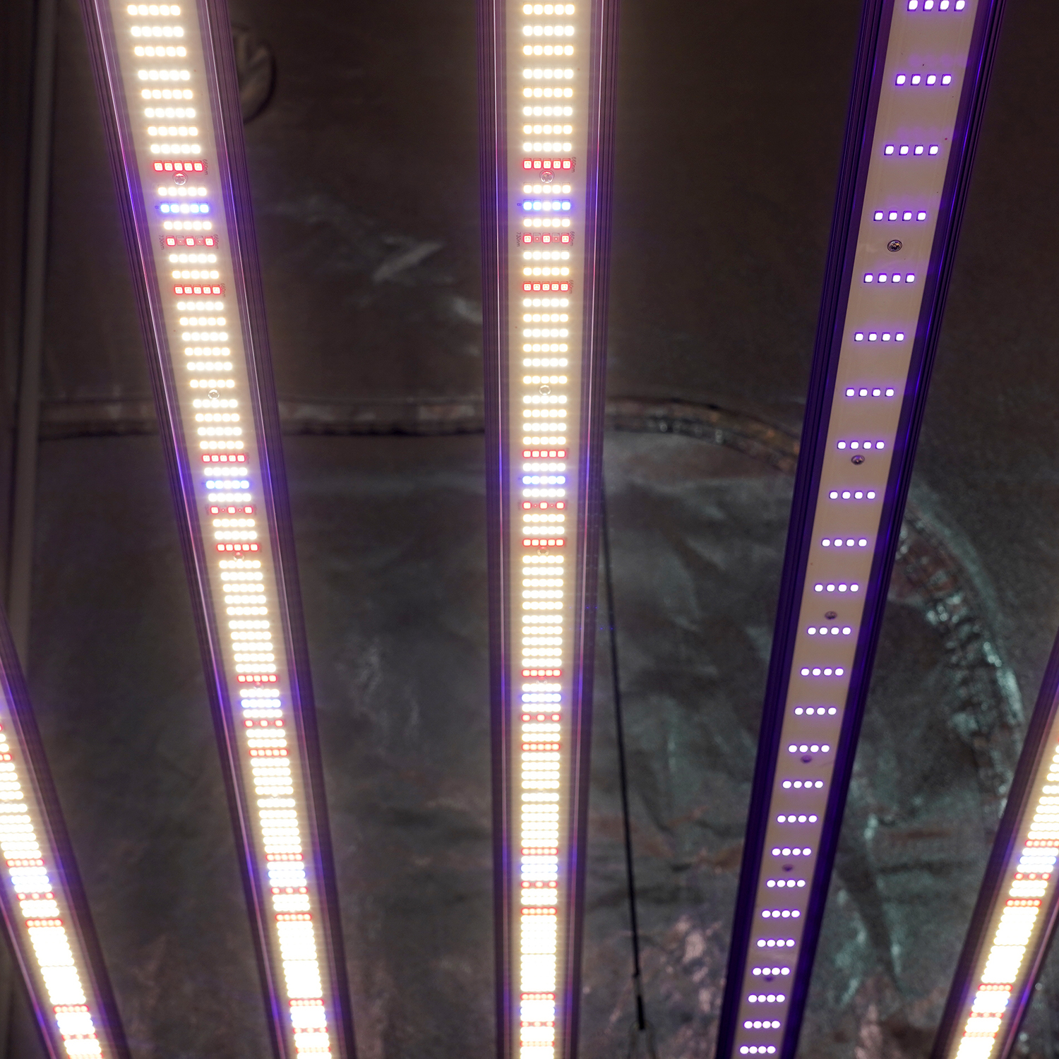 Meijiu Indoor Grow MJ450 Max1300w 180cm Samsung UV IR Full Spectrum Led Grow Light for Commercial Growing