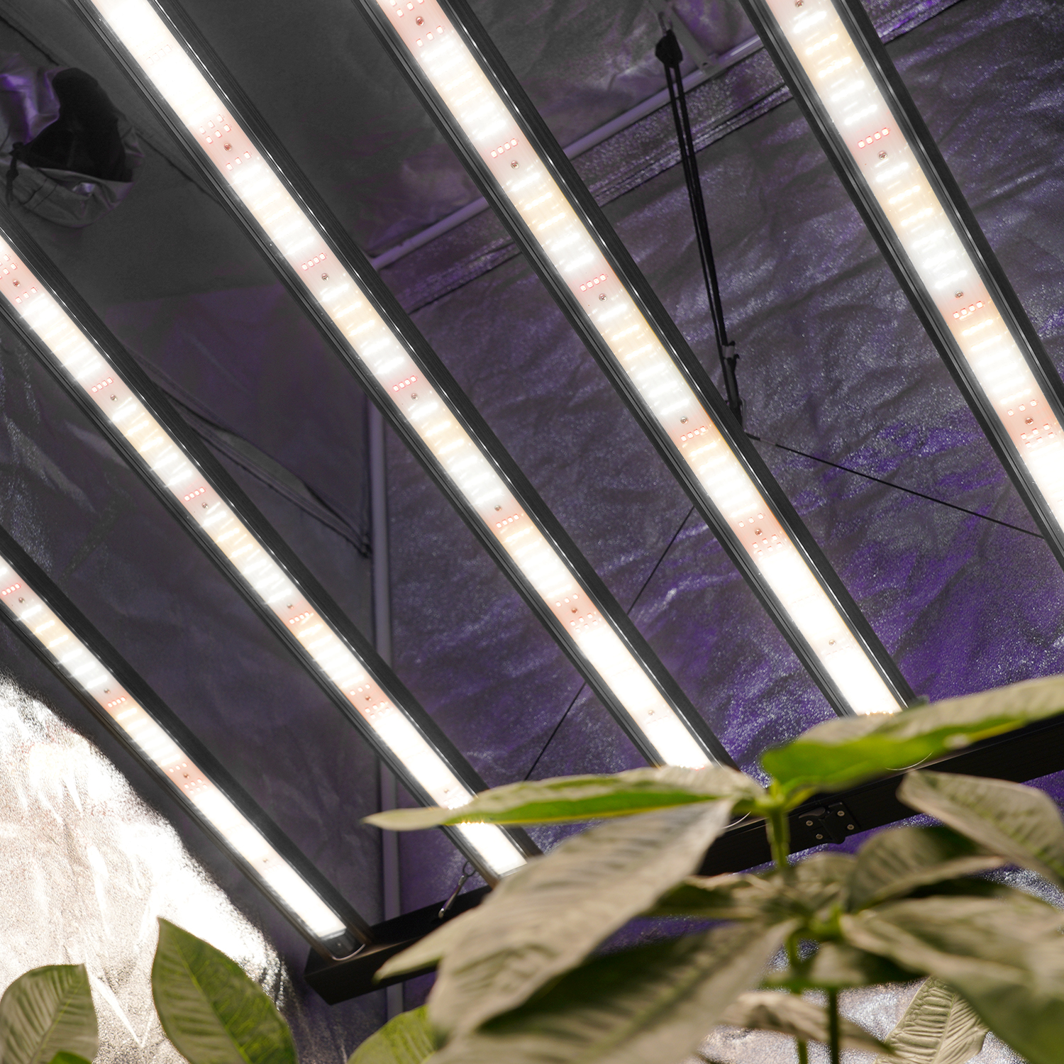 Meijiu Advanced 720W Full Spectrum LED Grow Lights with Separate Control Function for Professional Horticulture Applications