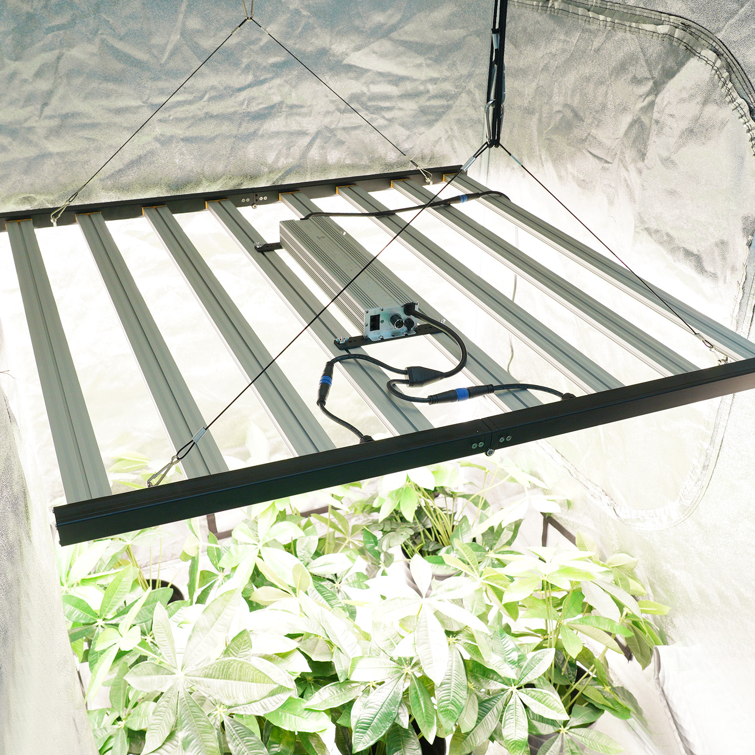 MEIJIU 2025 Under Canopy Samsung Lm301H Lm281B Evo 1000W Full Spectrum Dimmable LED Grow Light Bar for Plants Medical Herb