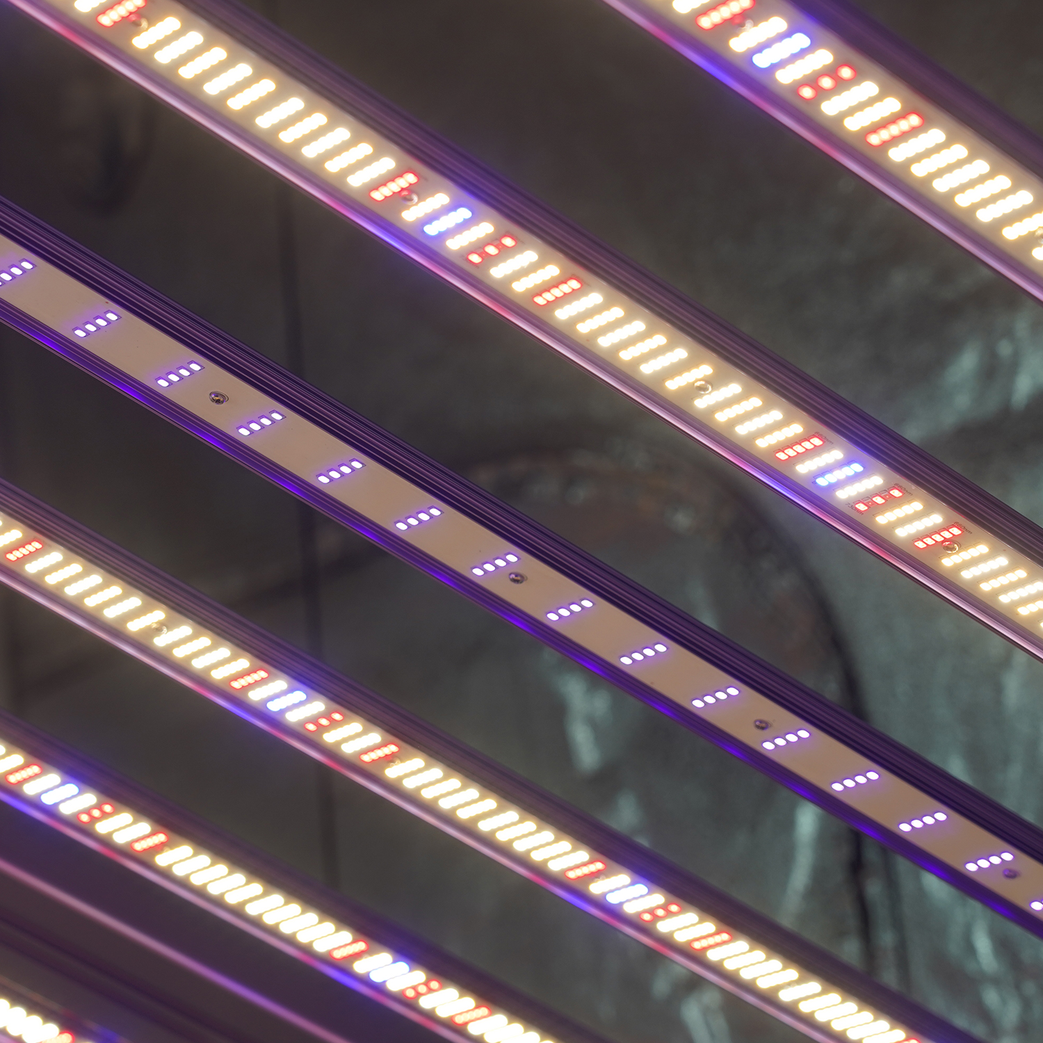 Meijiu Indoor Grow MJ450 Max1300w 180cm Samsung UV IR Full Spectrum Led Grow Light for Commercial Growing