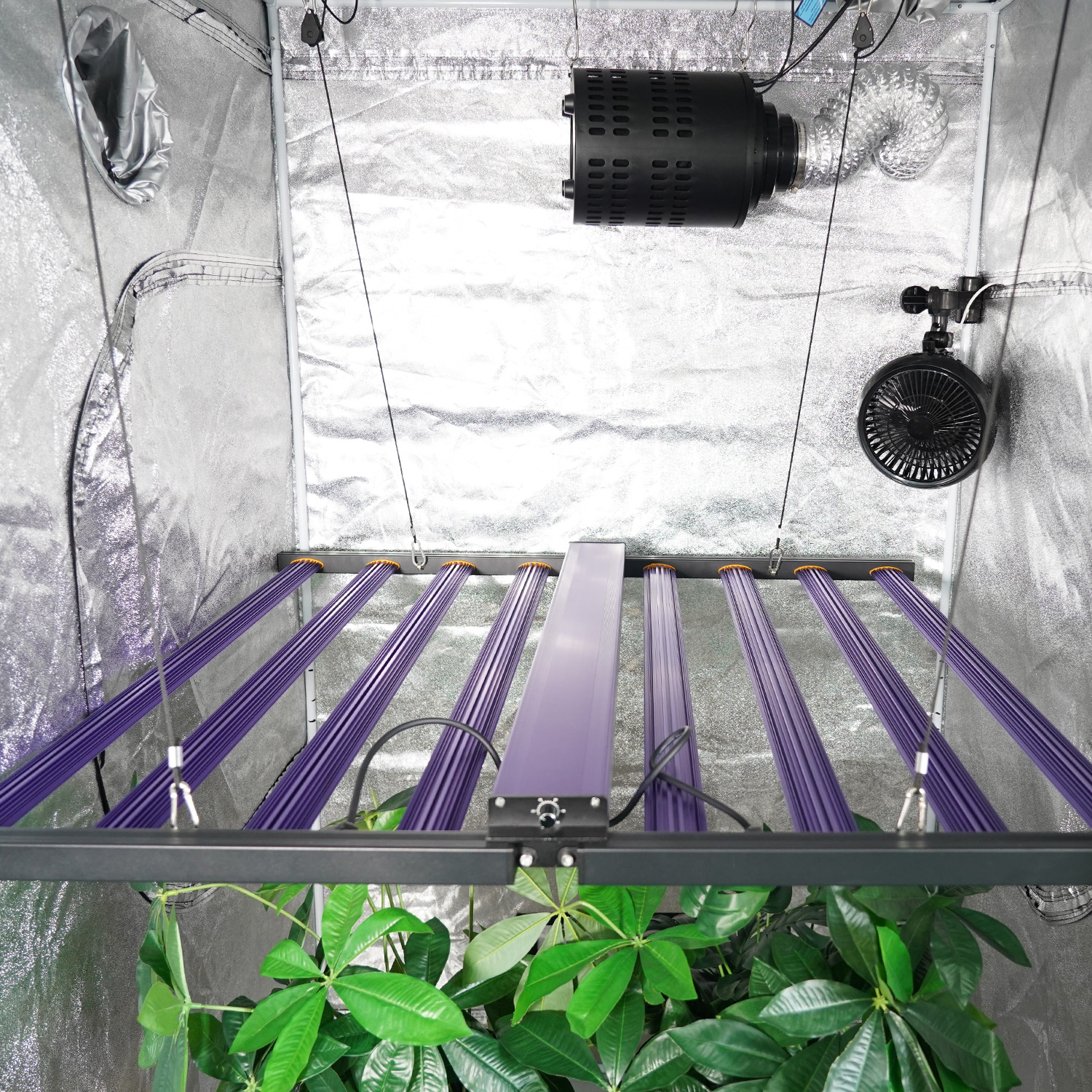 Meijiu Indoor Grow MJ450w 720w Samsung UV IR Full Spectrum Grow Light