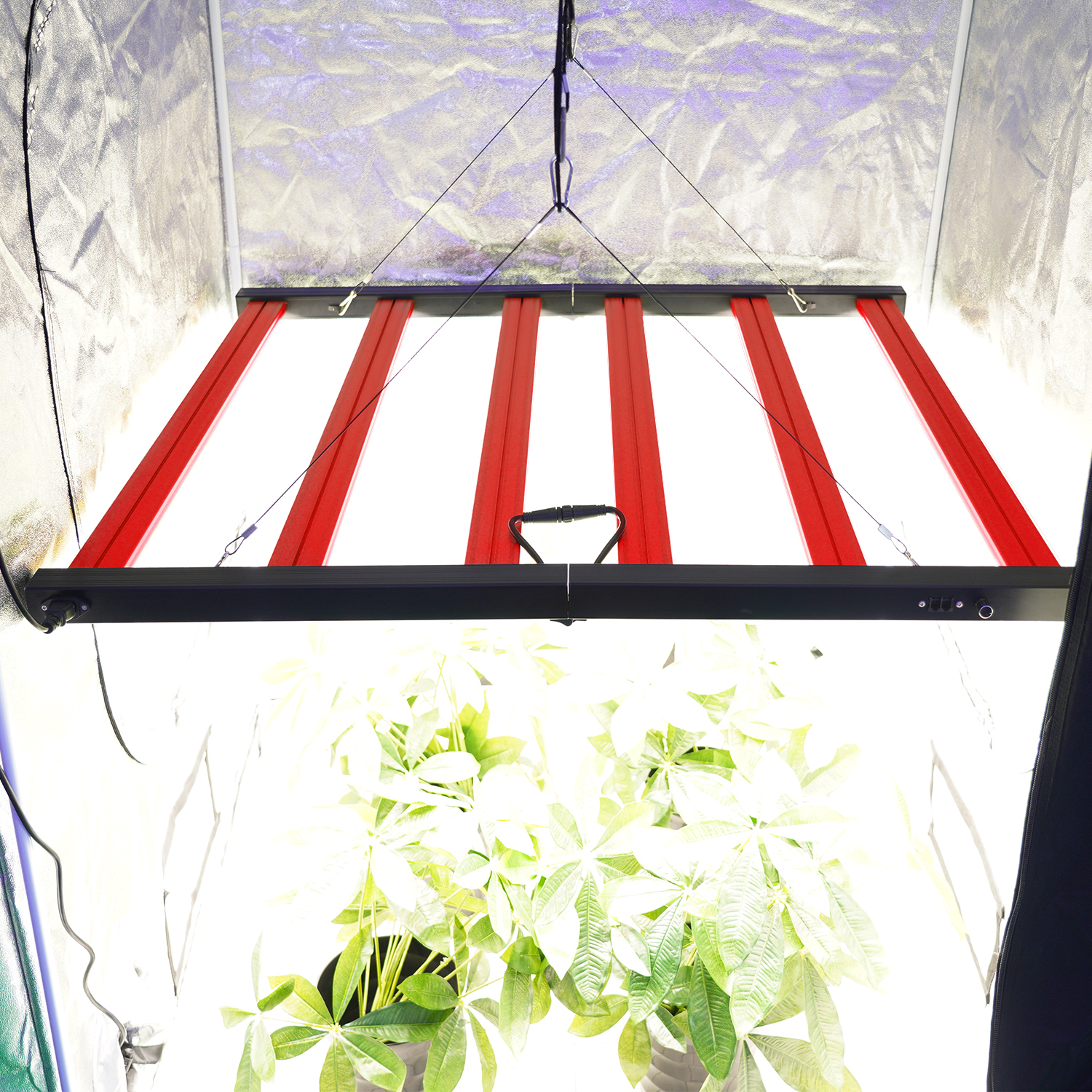 Meijiu Advanced 720W Full Spectrum LED Grow Lights with Separate Control Function for Professional Horticulture Applications