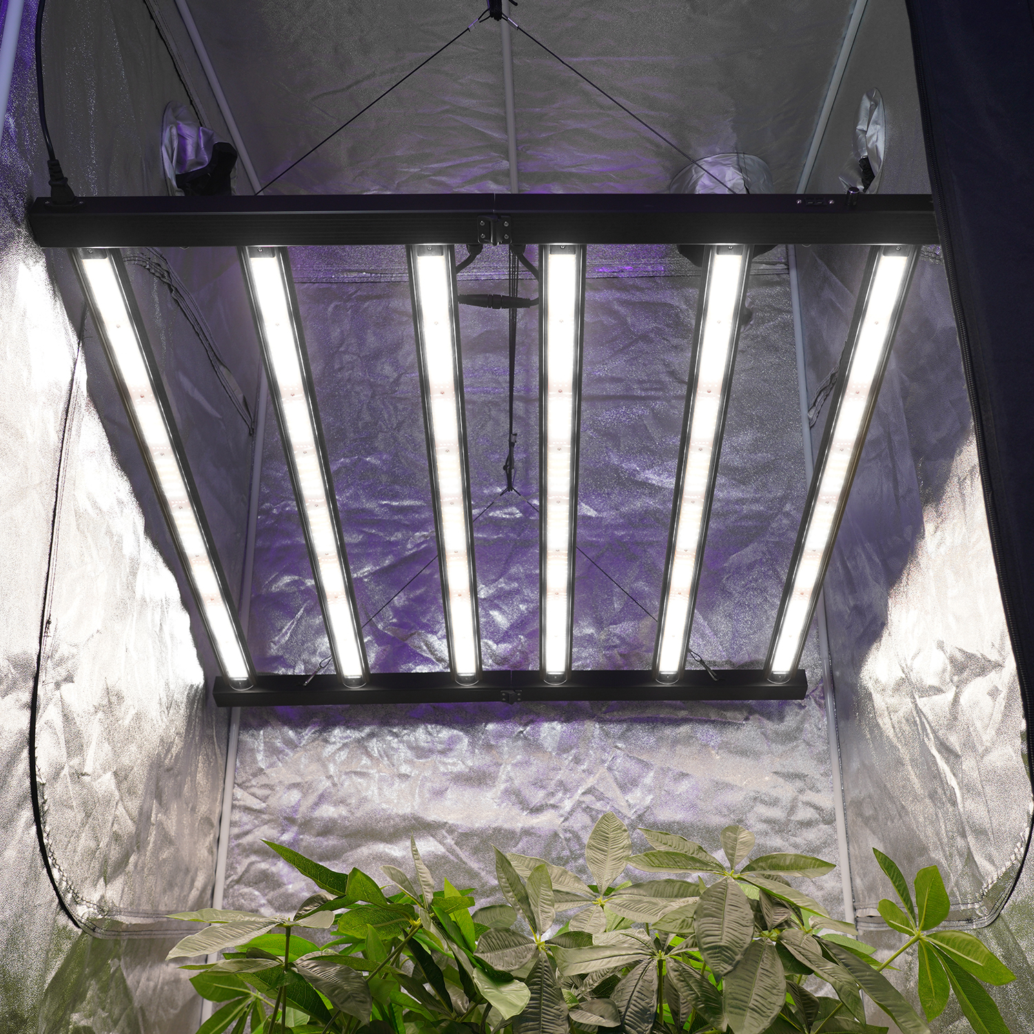 Meijiu Advanced 720W Full Spectrum LED Grow Lights with Separate Control Function for Professional Horticulture Applications