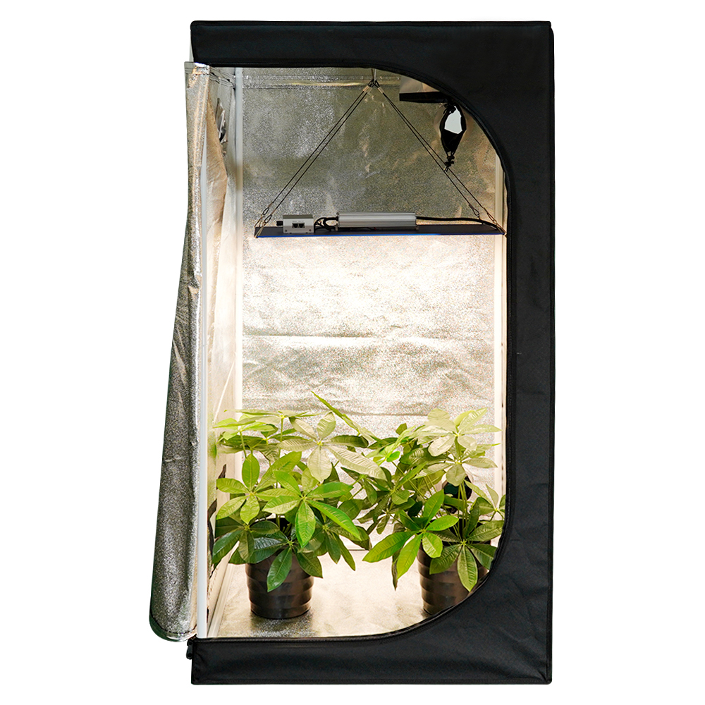 MEIJIU Hydroponics Indoor Grow 120x120X200CM 600D Grow Tent（with viewing window）