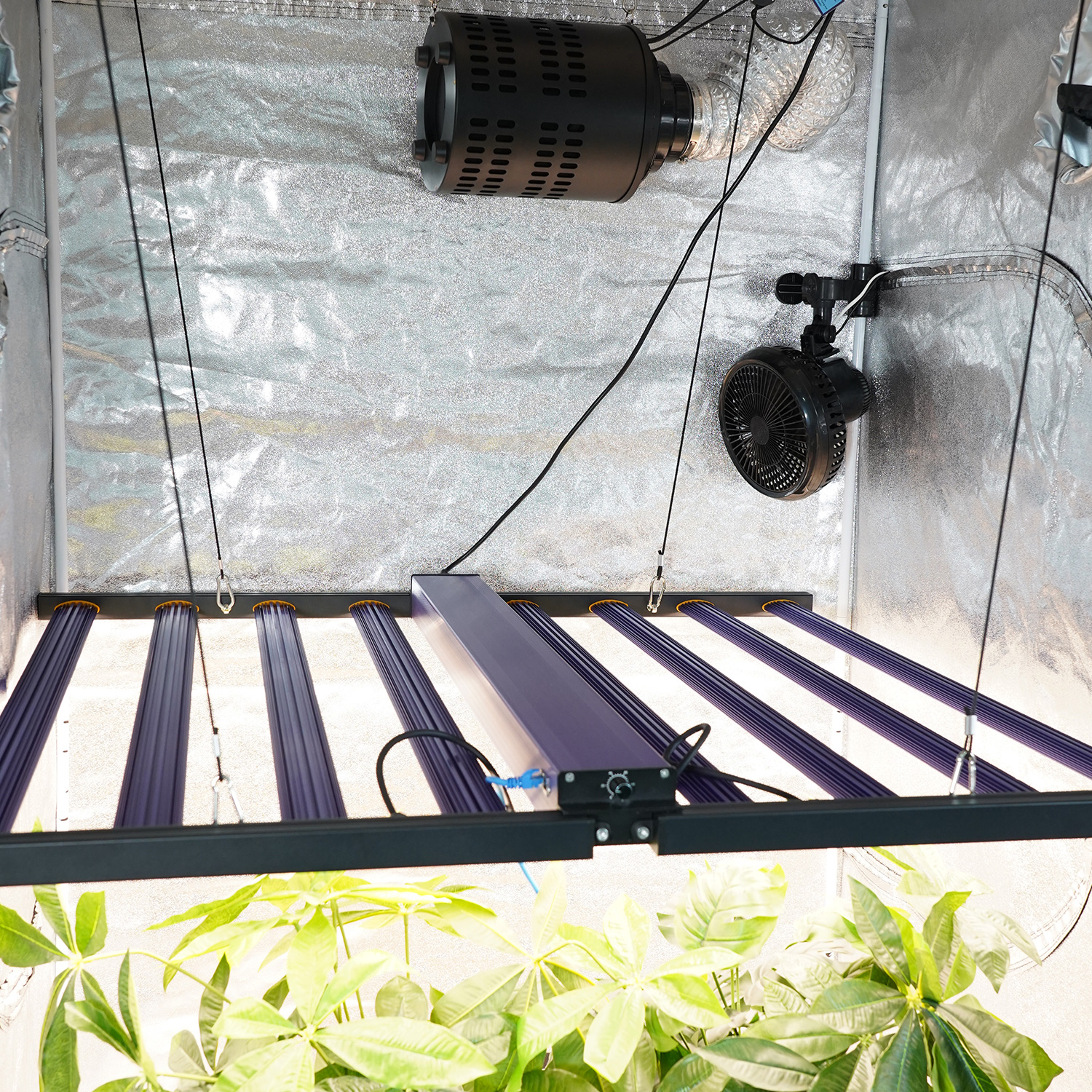 Meijiu Indoor Grow MJ450w 720w Samsung UV IR Full Spectrum Grow Light