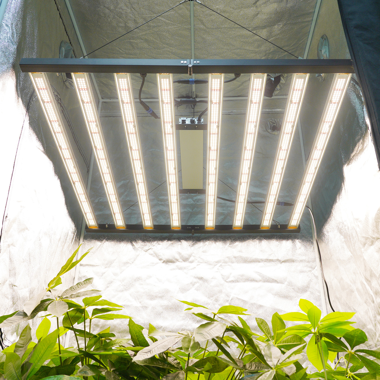 MEIJIU 2025 Under Canopy Samsung Lm301H Lm281B Evo 1000W Full Spectrum Dimmable LED Grow Light Bar for Plants Medical Herb