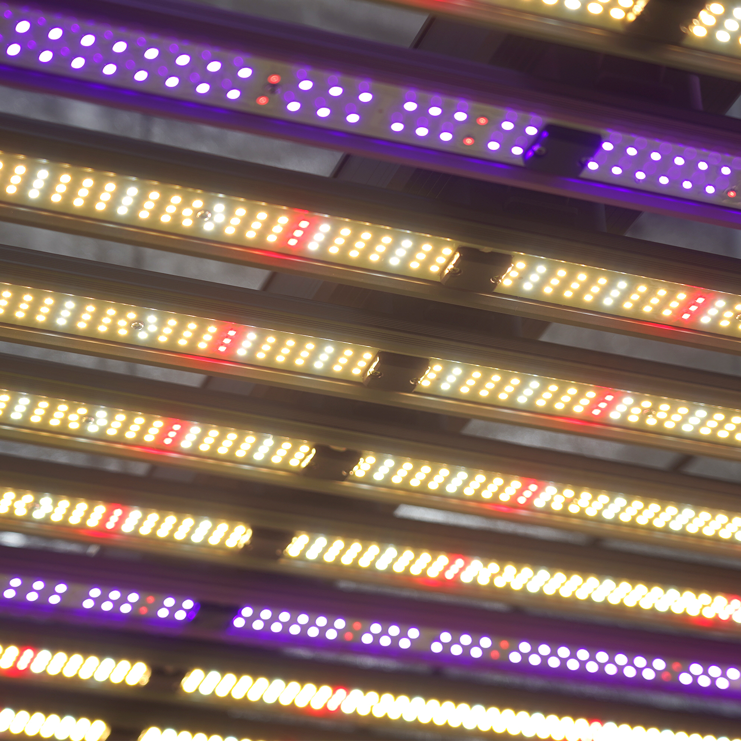 Meijiu Indoor Grow antenna1350W Samsung UV IR Full Spectrum Led Grow Light for Commercial Growing