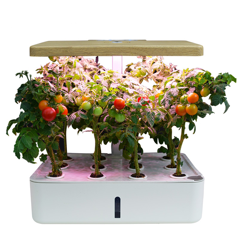 Automatic Hydroponic Plant Growth Machine LED Grow Lights Indoor Smart Garden
