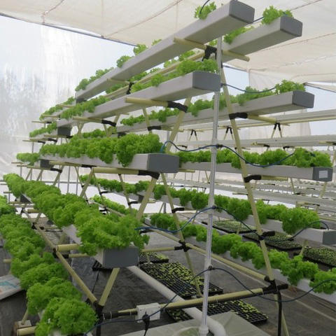 Hydroponics Indoor Vertical Farm CEA Planting Rack Shelf, Small Greenhouse Grow Table Leafy Green Fruit Vegetables Plant