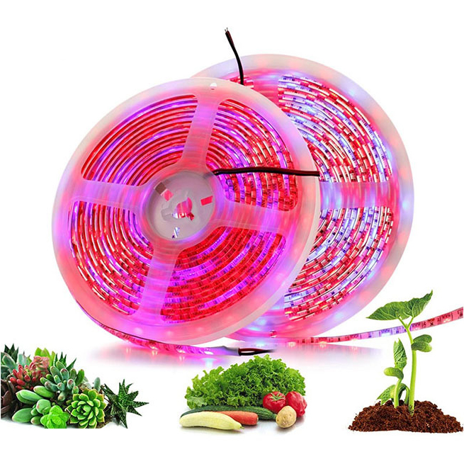 USB LED growth light String Full spectrum 5v plant light with 5050 LED plant light with indoor hydroponic growth