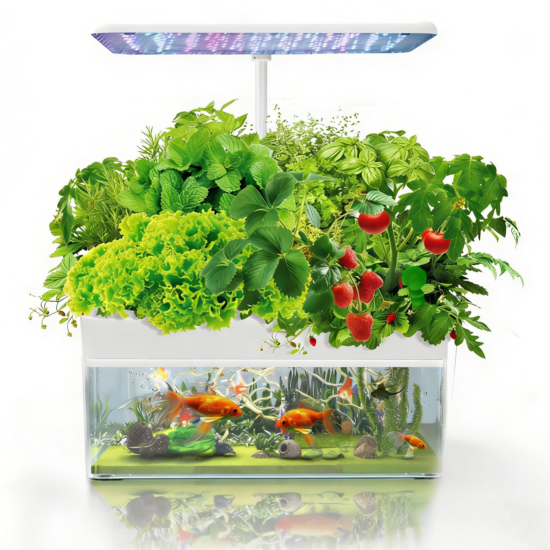 IGS-70 Indoor Hydroponic Planting Aquaponic LED Grow Light and Fishtank With Smart Gardens System and Fish Culture System