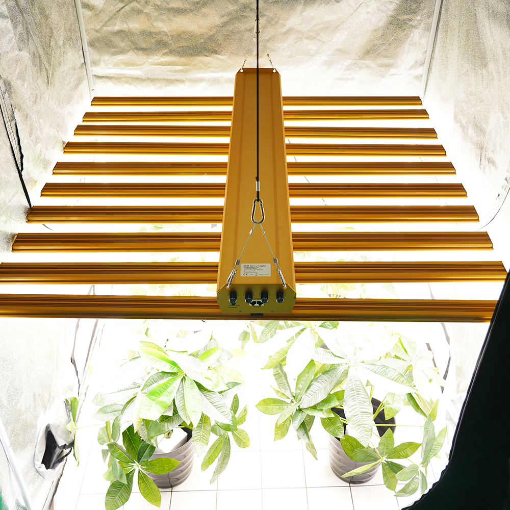 5 Channels Value 900W-1500W Full Spectrum LED Grow Lights Full Spectrum Led for Commercial Greenhouse Lettuce and Herb