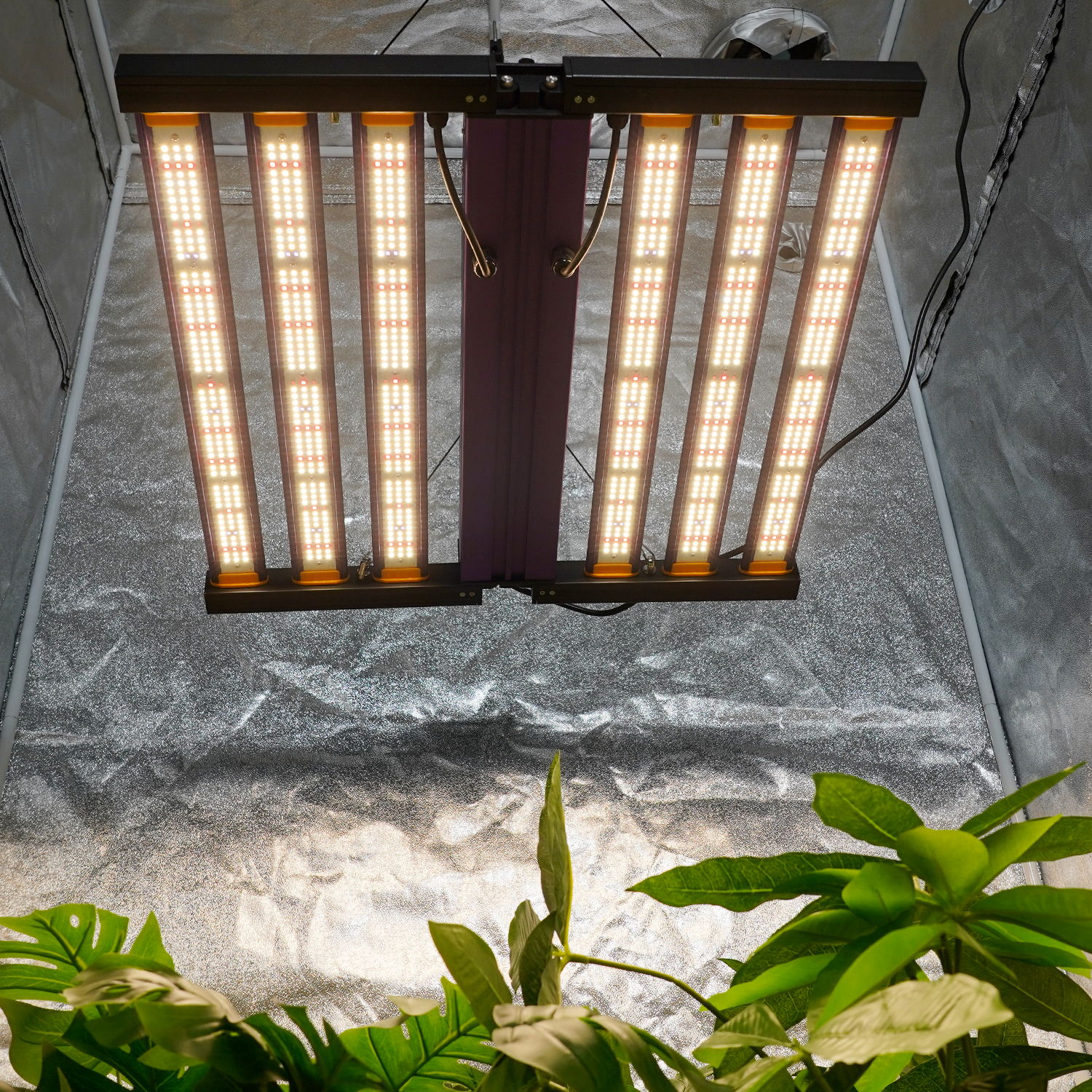 Meijiu Indoor Grow MJ450w 320w Samsung UV IR Full Spectrum Grow Light for 60X60CM Grow Tent