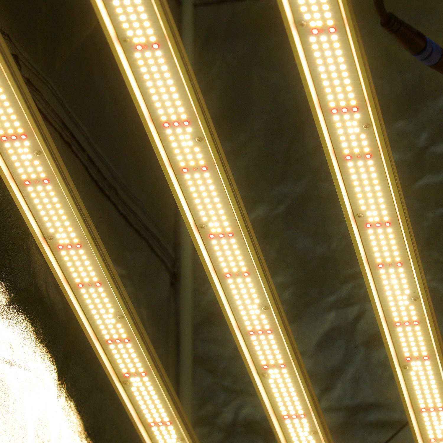 MEIJIU 2025 Under Canopy Samsung Lm301H Lm281B Evo 1000W Full Spectrum Dimmable LED Grow Light Bar for Plants Medical Herb