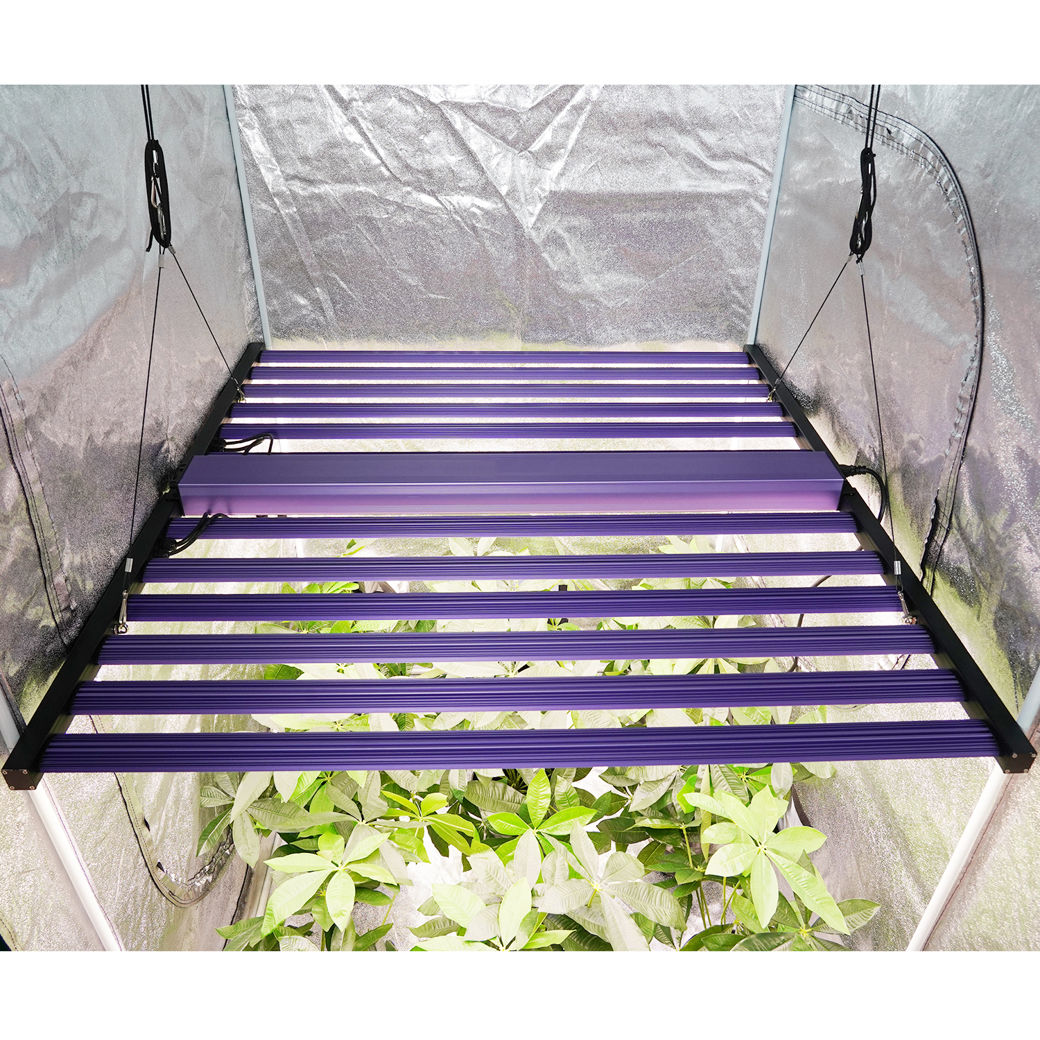 Meijiu Indoor Grow MJ450 Max 1060w Samsung UV IR Full Spectrum Led Grow Light for Commercial Growing