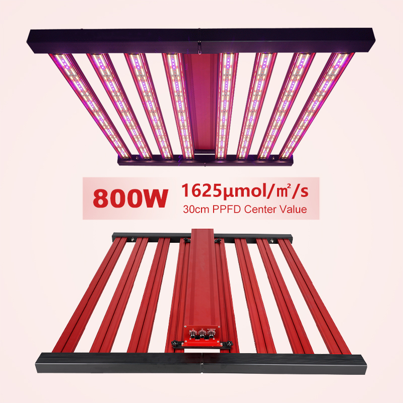 Indoor Plant Grow Light 1000W Full Spectrum High Efficiency LED for Greenhouse Vertical Farm Grow Tent Use