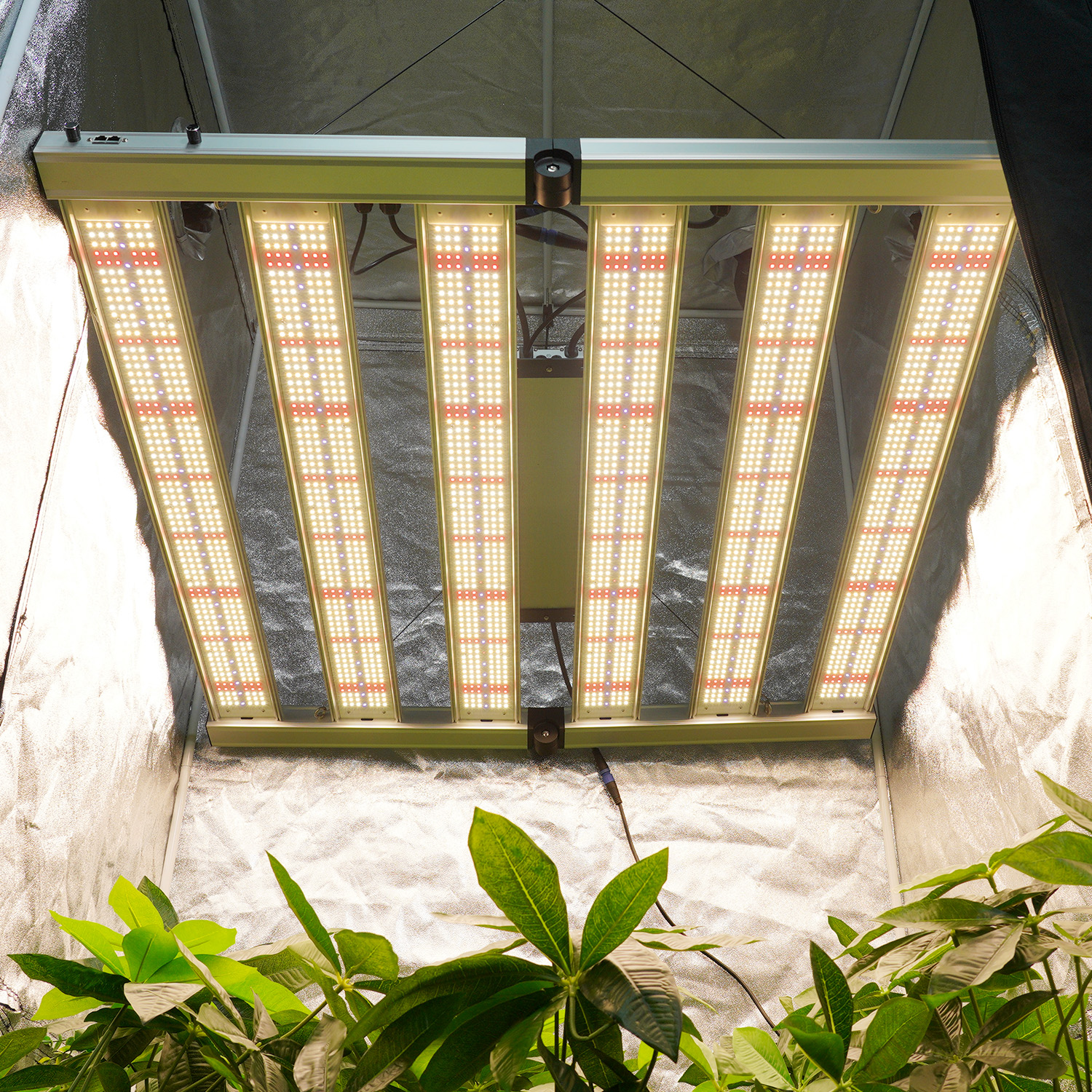 MEIJIU Cost Effective KBL Indoor Grow High Efficiency 1060W Led Grow Light For Grow Tent and Commercial Growing