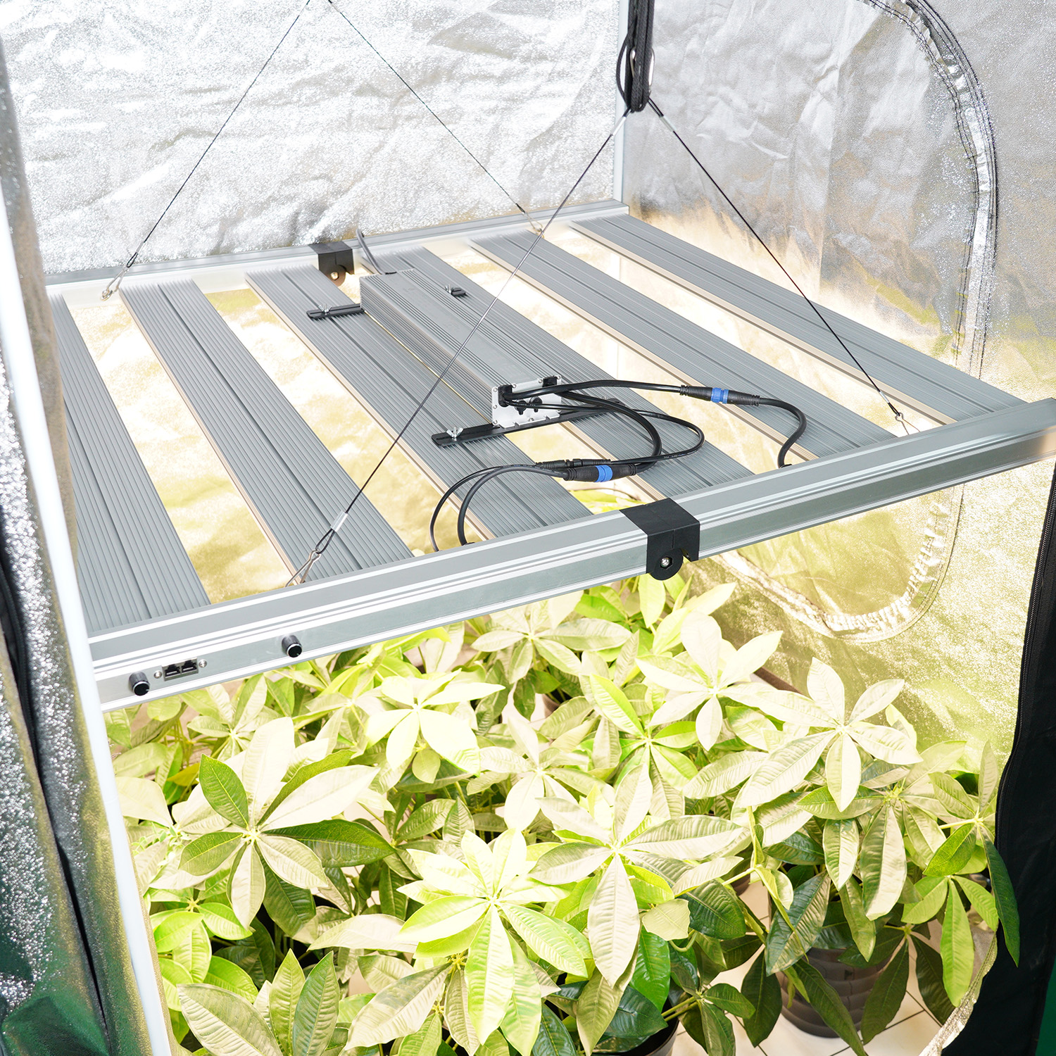 MEIJIU Cost Effective KBL Indoor Grow High Efficiency 1060W Led Grow Light For Grow Tent and Commercial Growing