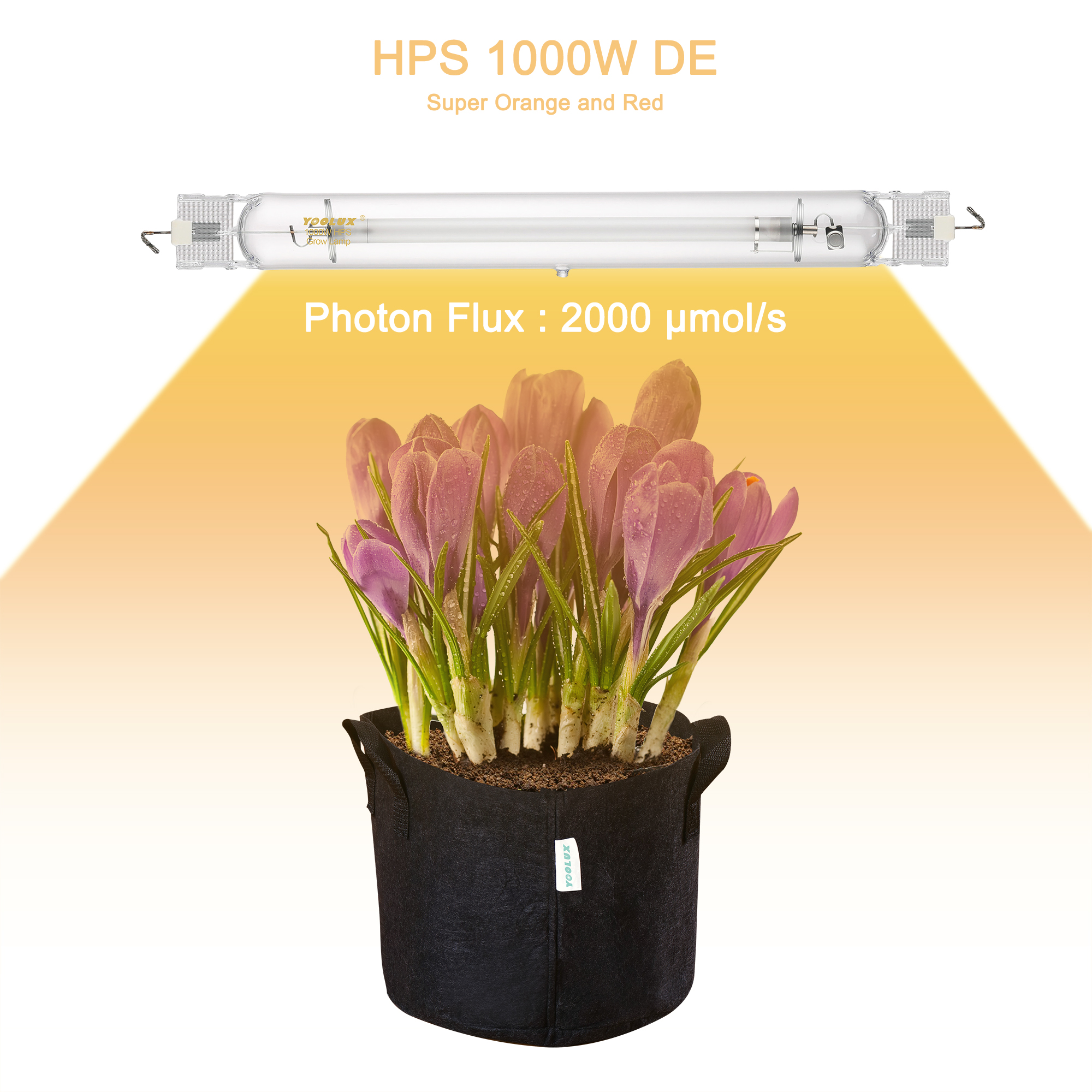 Manufacturer 1000W HPS Lamp High Pressure Sodium Light for Plant Growth