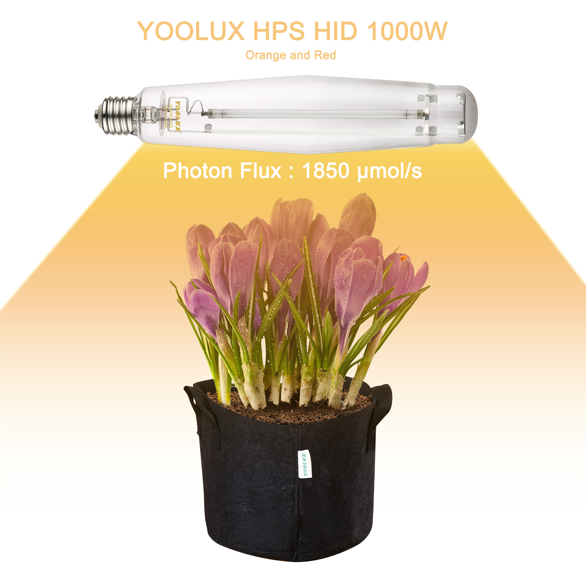 High Pressure Sodium Lighting Lamps 50W to 1000W HPS Street Lights Versatile 70W 150W 250W 400W 600W High Performance Lighting