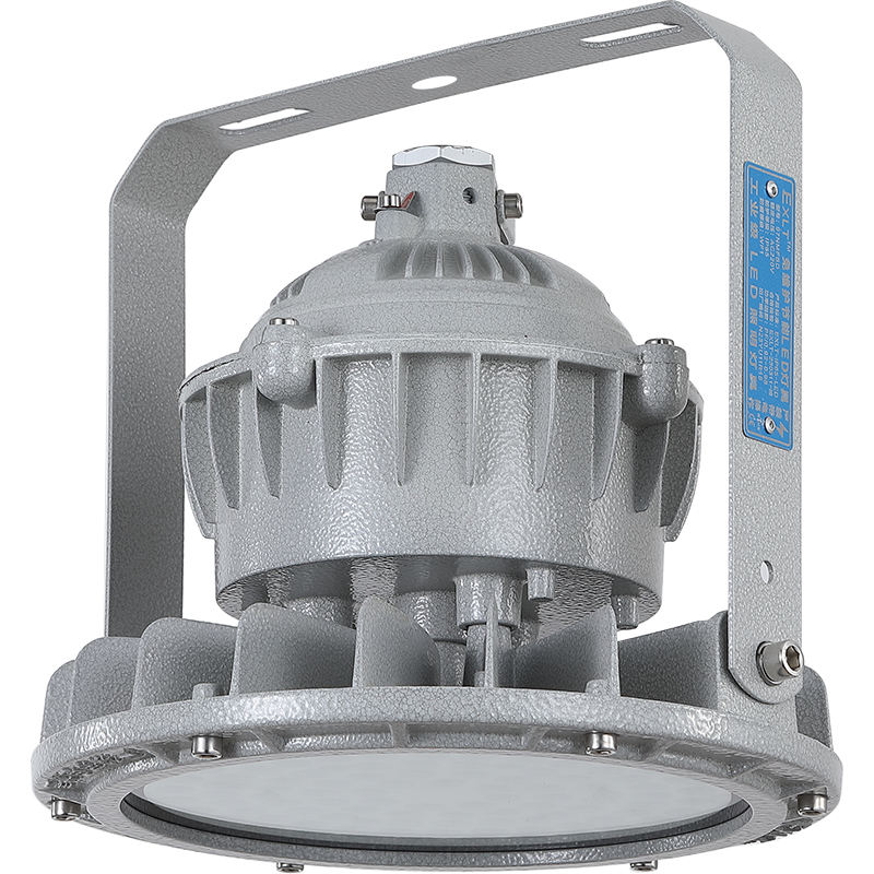 LED Explosion-Proof Light 100W IP65 Anti-Corrosion Class 2 Div Explosion Proof Lamp Hazardous Area UFO High Bay Lights