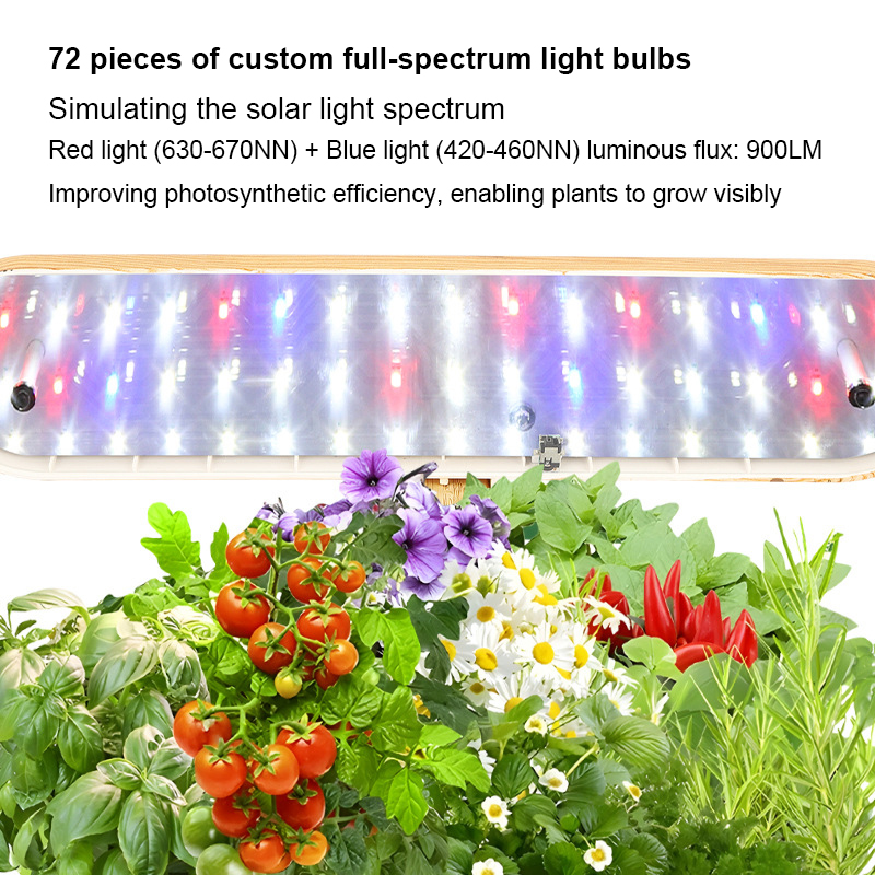 Greenhouse Hydroponic Systems Channels Commercial Lettuce Farming Vegetable Cultivation Professional
