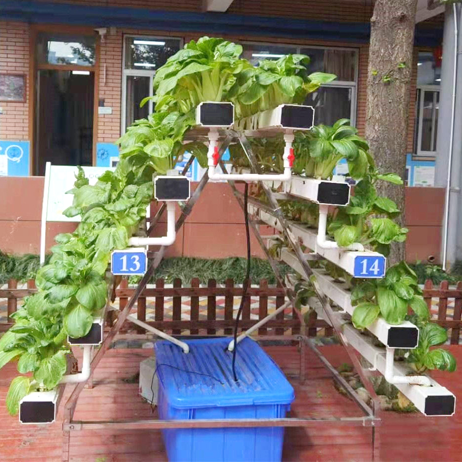 Hydroponics Indoor Vertical Farm CEA Planting Rack Shelf, Small Greenhouse Grow Table Leafy Green Fruit Vegetables Plant