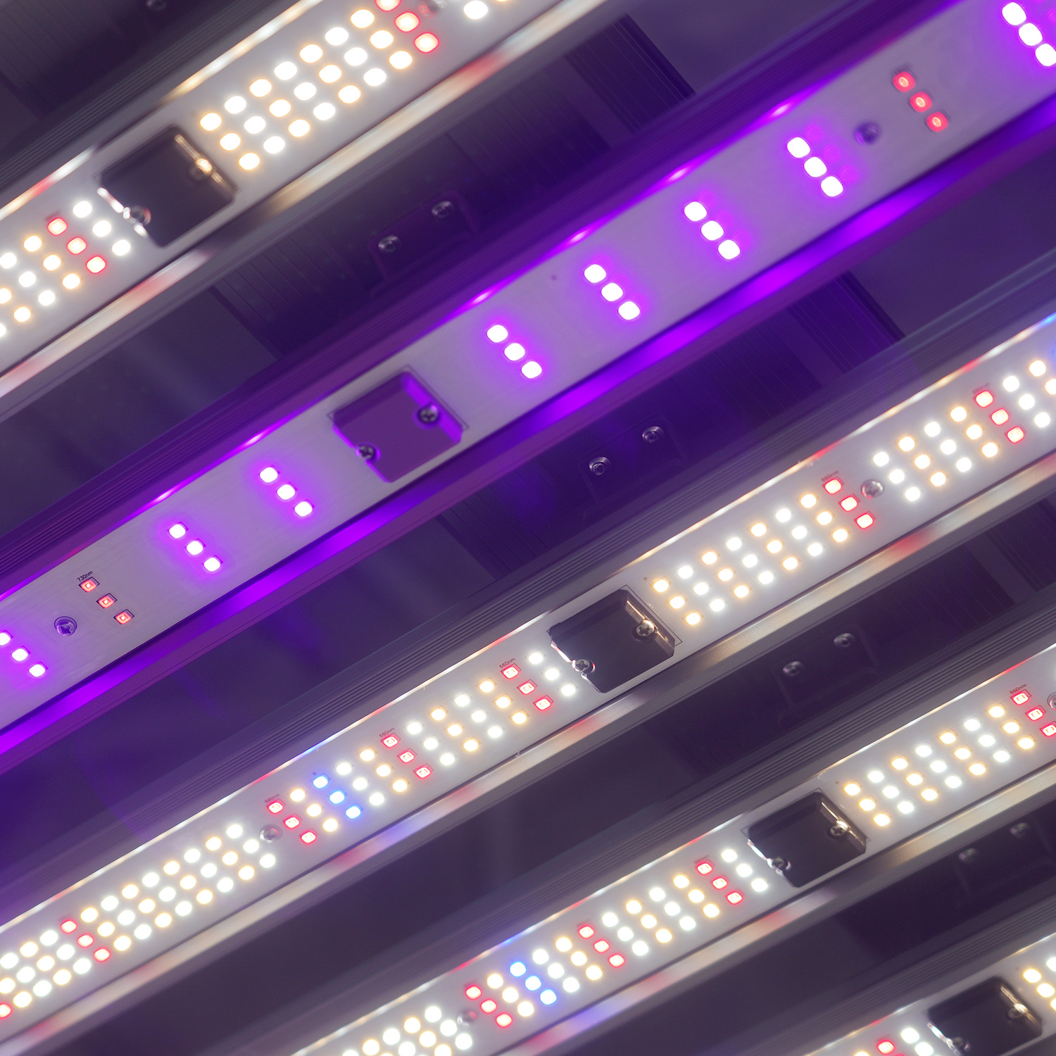 MEIJIU Hydroponic TX Max Indoor Grow High Efficiency 1260W Led Grow Light For Commercial Growing