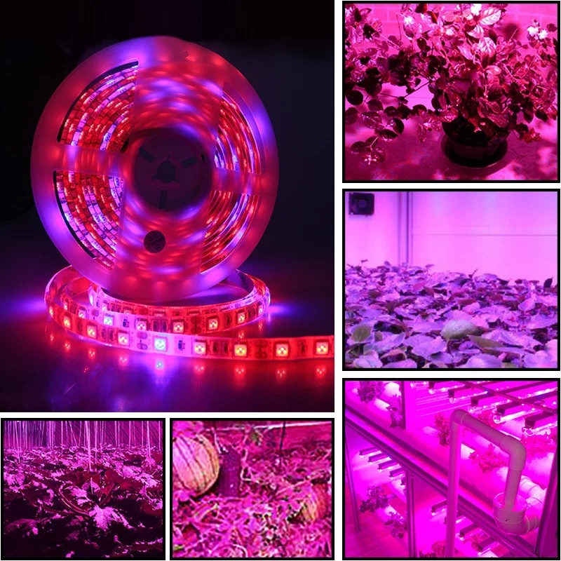 Full Spectrum LED Grow Light Strip 12V Flexible Phyto Lamp for Indoor Hydroponic Greenhouse Plant Growing Tape Home Use