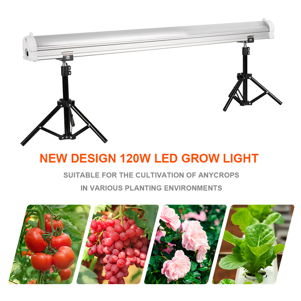 IP65 Waterproof Under Canopy LED Grow Lights 120W for Commercial Agriculture and Greenhouses
