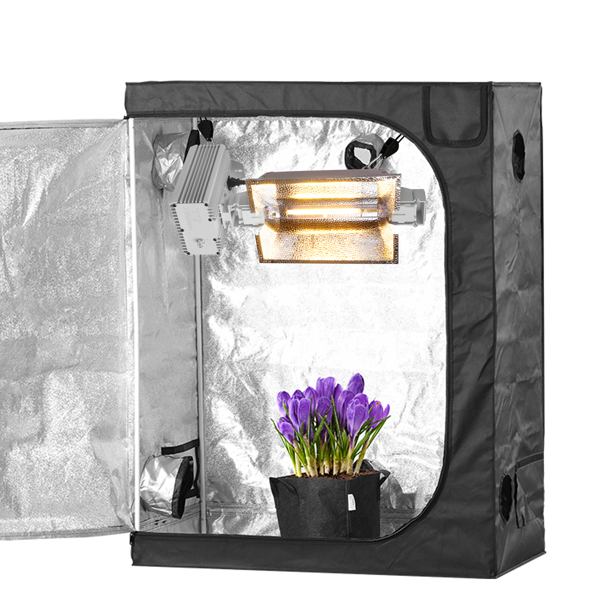 Greenhouse 120V-240V American Standard Plug Electronic Digital Greenhouse 1000W Ballast for MH & HPS Lamp