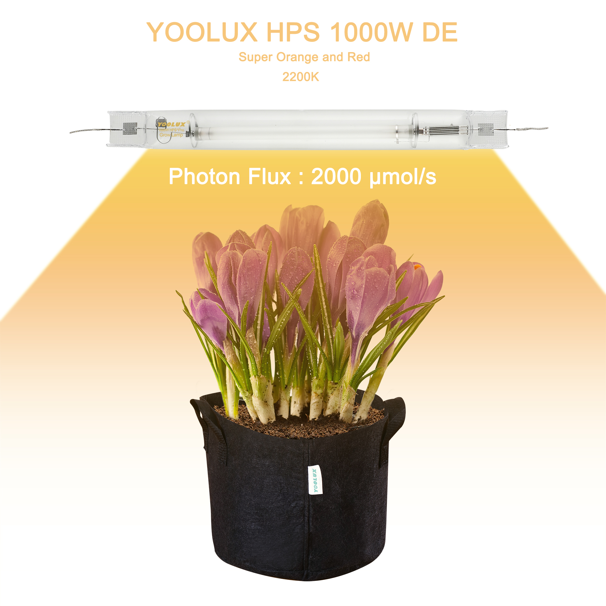Professional HID Manufacturer Grow Plant 1000w Double Ended Hps Light Lamp
