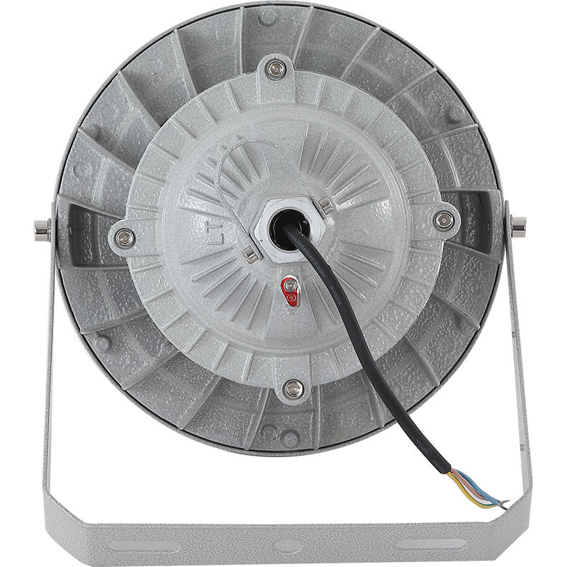 LED Explosion-Proof Light 100W IP65 Anti-Corrosion Class 2 Div Explosion Proof Lamp Hazardous Area UFO High Bay Lights